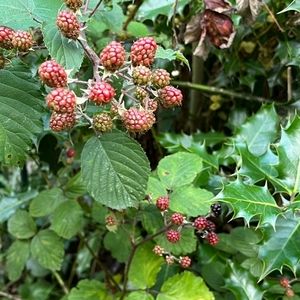 Meet your Posher, Judith